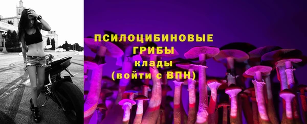 экстази Пересвет