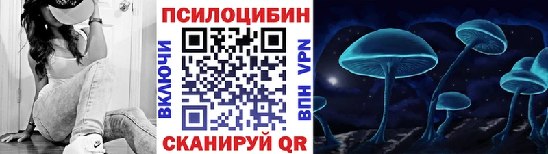 где найти   Карачаевск  Галлюциногенные грибы Magic Shrooms 