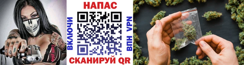 Бошки Шишки Amnesia  Карачаевск 